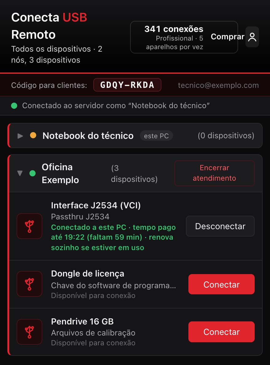 Tela real do programa do técnico com a interface da oficina conectada: tempo pago até 19:22, faltam 59 minutos, renova sozinho se estiver em uso.